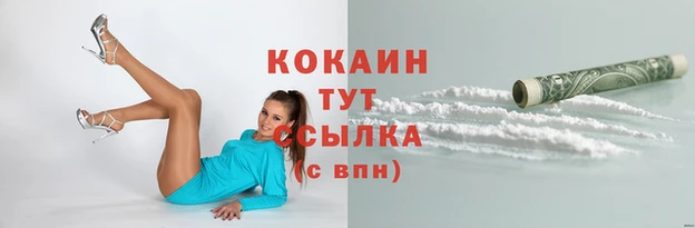 спайс Михайлов