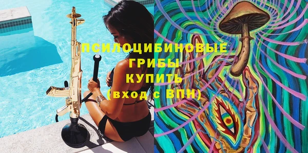 герыч Алексин
