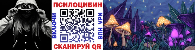 где найти   Безенчук  Галлюциногенные грибы прущие грибы 